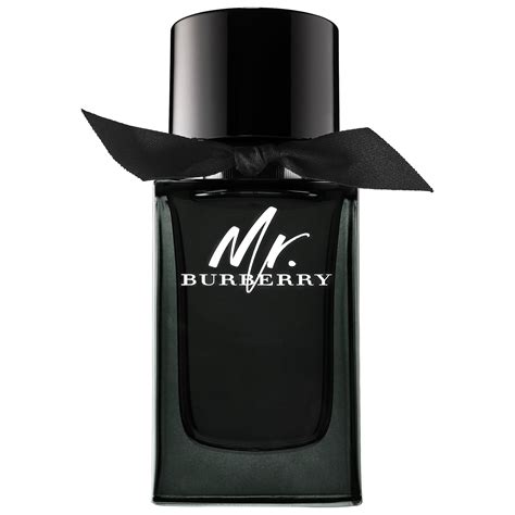 mr burberry cologne sephora|mr burberry cologne set.